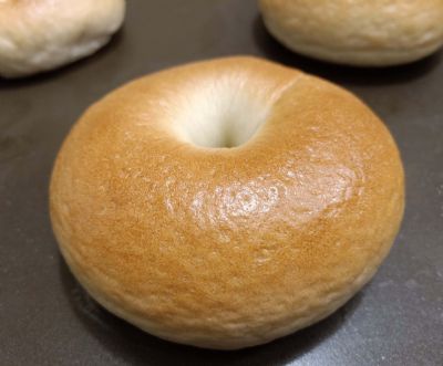 Bagel